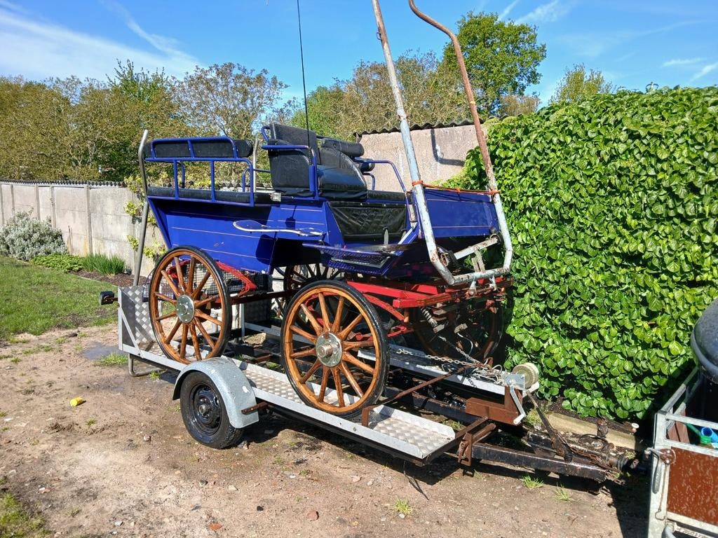 Wagonette/koets,trailer en tuig, Wagonette