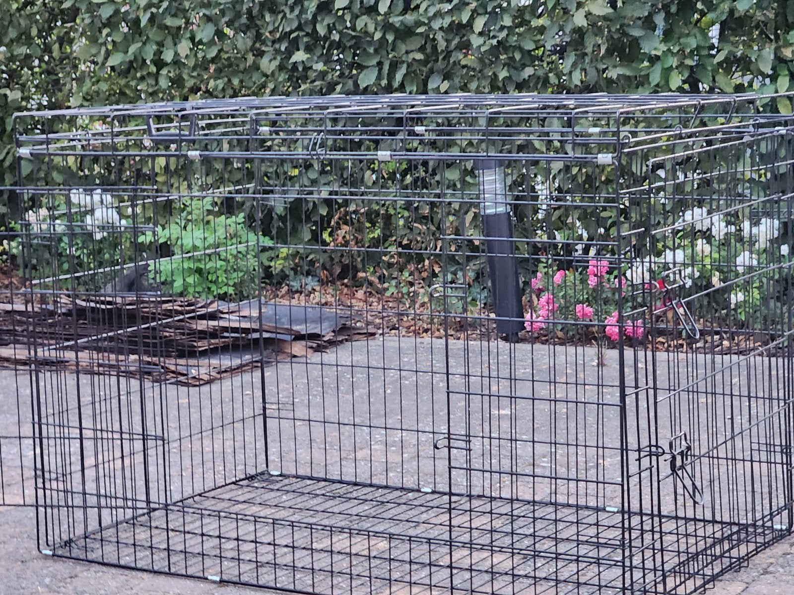 Honden bench (zwart), Dieren en Toebehoren, Ophalen
