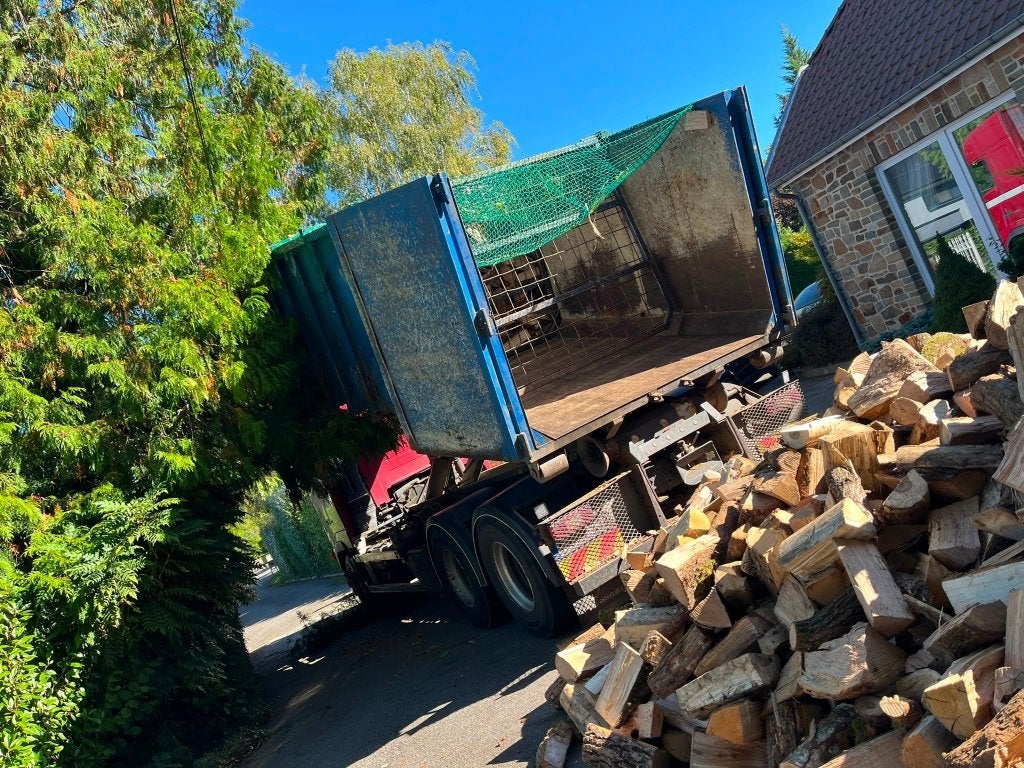 Bois de chauffage sec pour préparer l'hiver, 3 à 6 m³, Enlèvement, Hêtre, Bûches