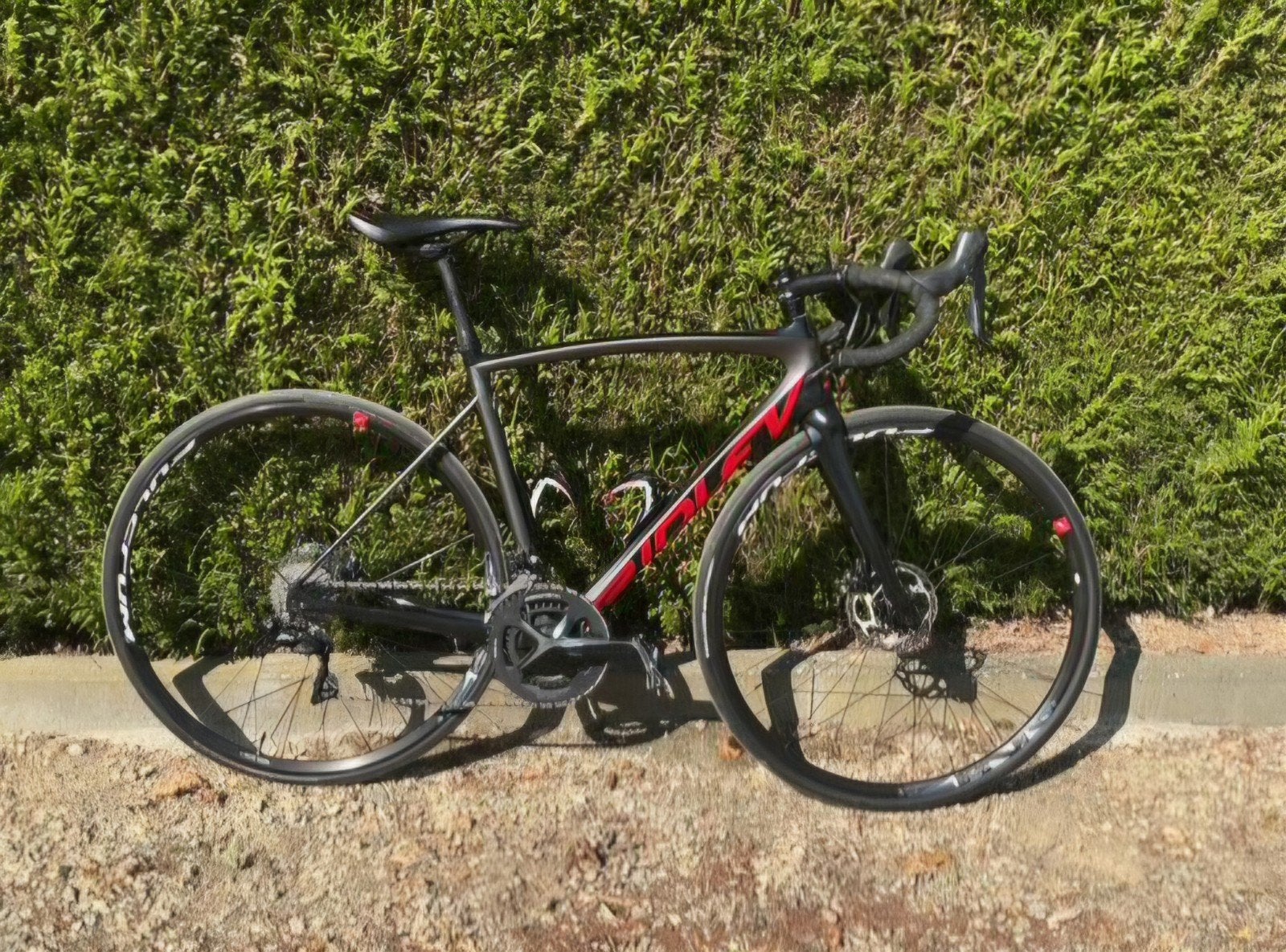 koersfiets Ridley, Autres marques, Comme neuf, Enlèvement, 28 pouces