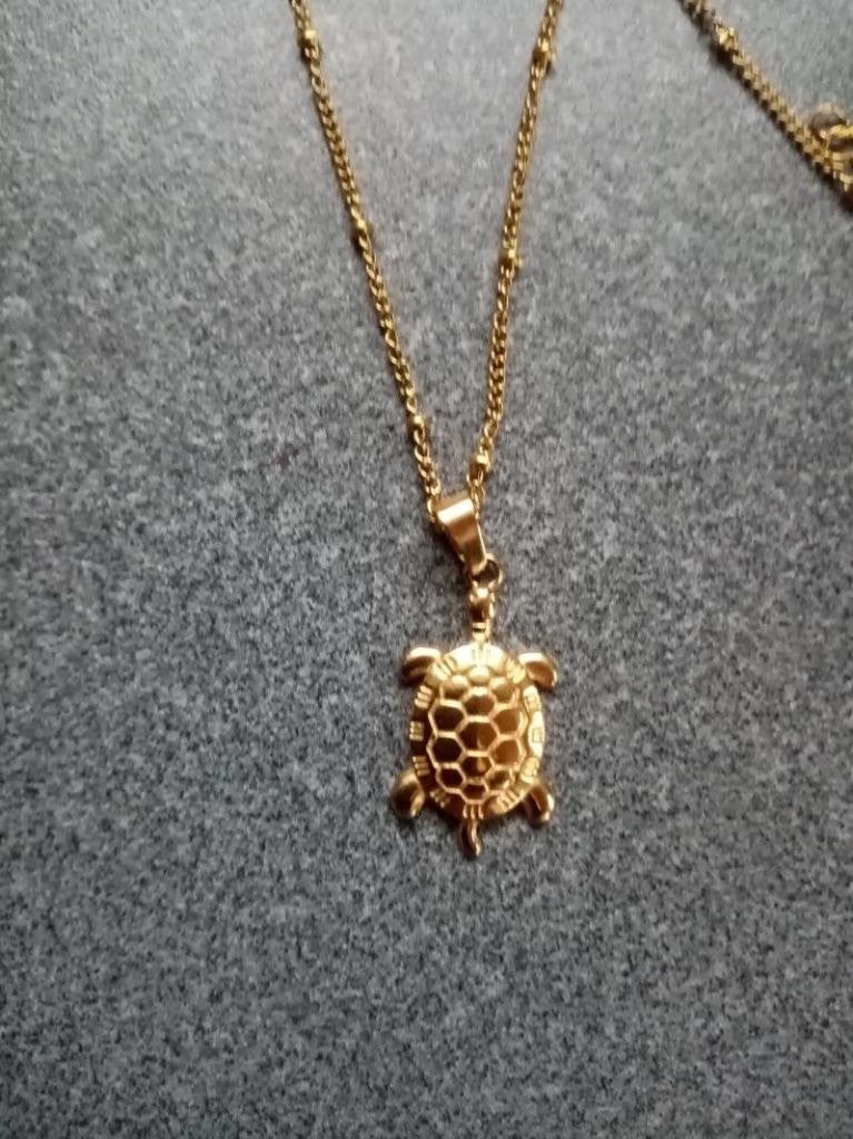 nieuw goudkleurig ketting (40cm) + kettinghanger schildpad, Ophalen of Verzenden, Nieuw, Met hanger