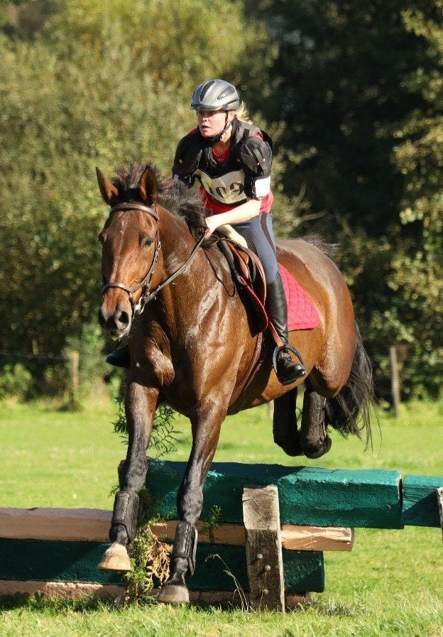 Leuke allround merrie, Dieren en Toebehoren, Merrie