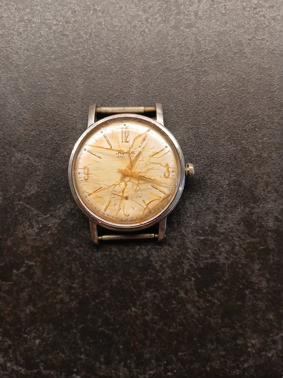 oude herenhorloge, Alpina Standard., Ophalen