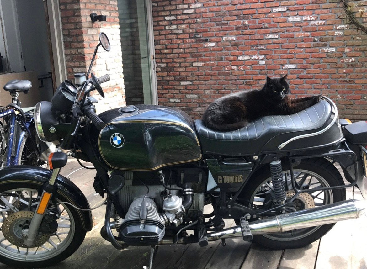BMW R100 1981, Motoren, Cardan-aandrijving, 2 cilinders, Occasion, Motorrijbewijs A