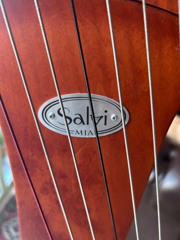 Klepjesharp Salvi Mia, Enlèvement, Utilisé