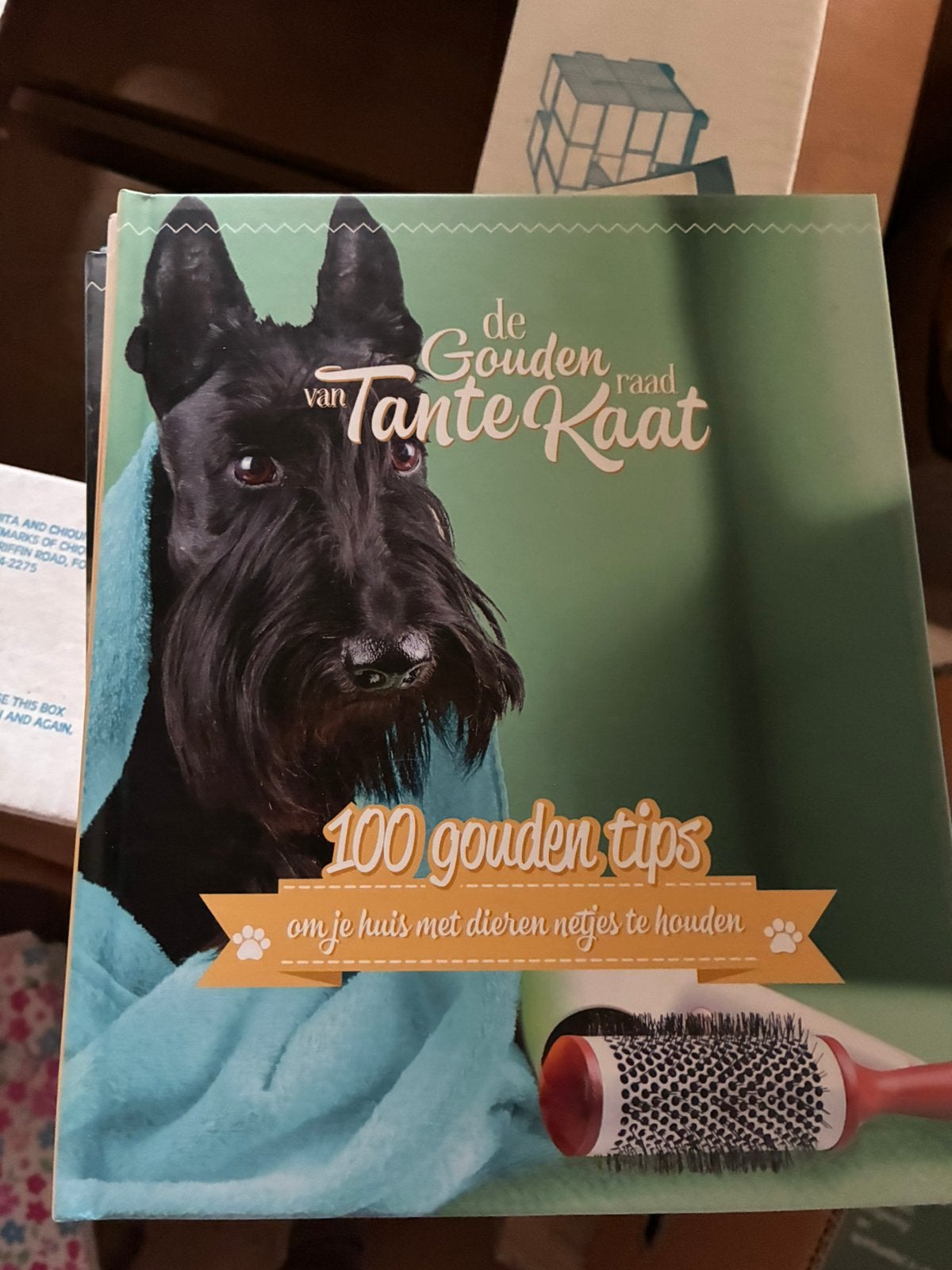 Gouden raad van tante Kaat, Boeken, Ophalen of Verzenden, Zo goed als nieuw, Interieur en Design