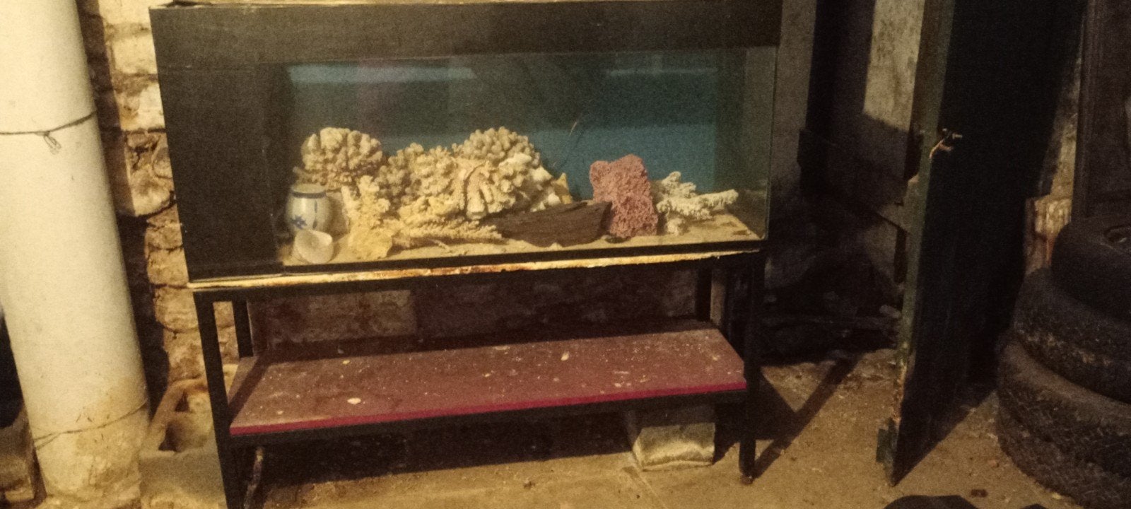 Aquarium  Gratis, Dieren en Toebehoren, Ophalen