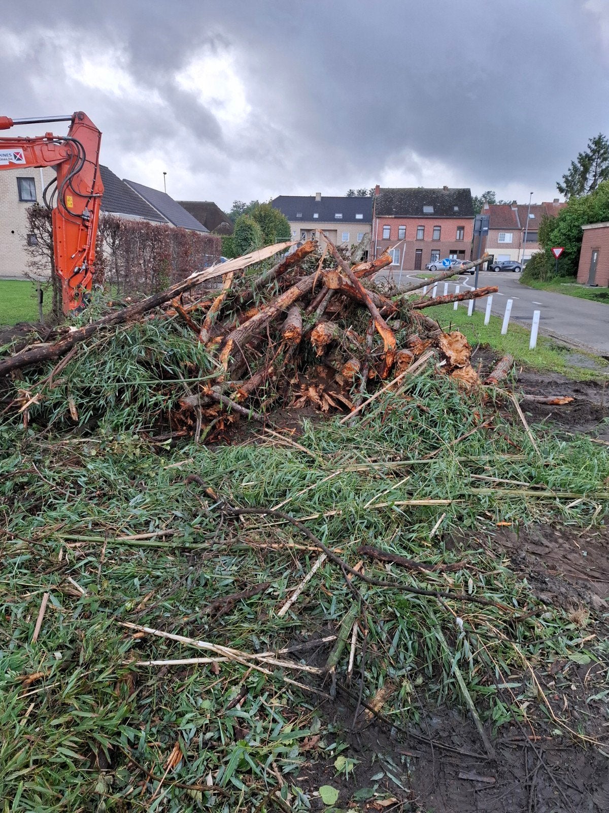 brandhout, Tuin en Terras, 6 m³ of meer, Ophalen, Stammen
