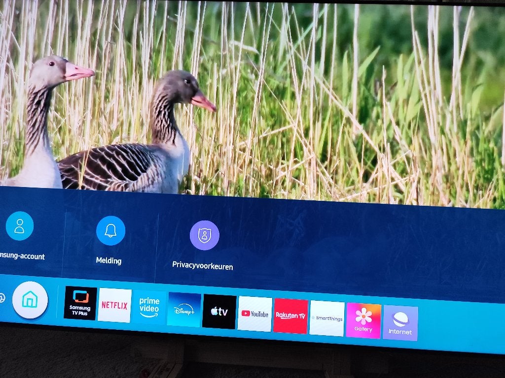 Samsung 65 inch qled, Audio, Tv en Foto, Televisies, Ophalen, QLED, 120 Hz, Zo goed als nieuw