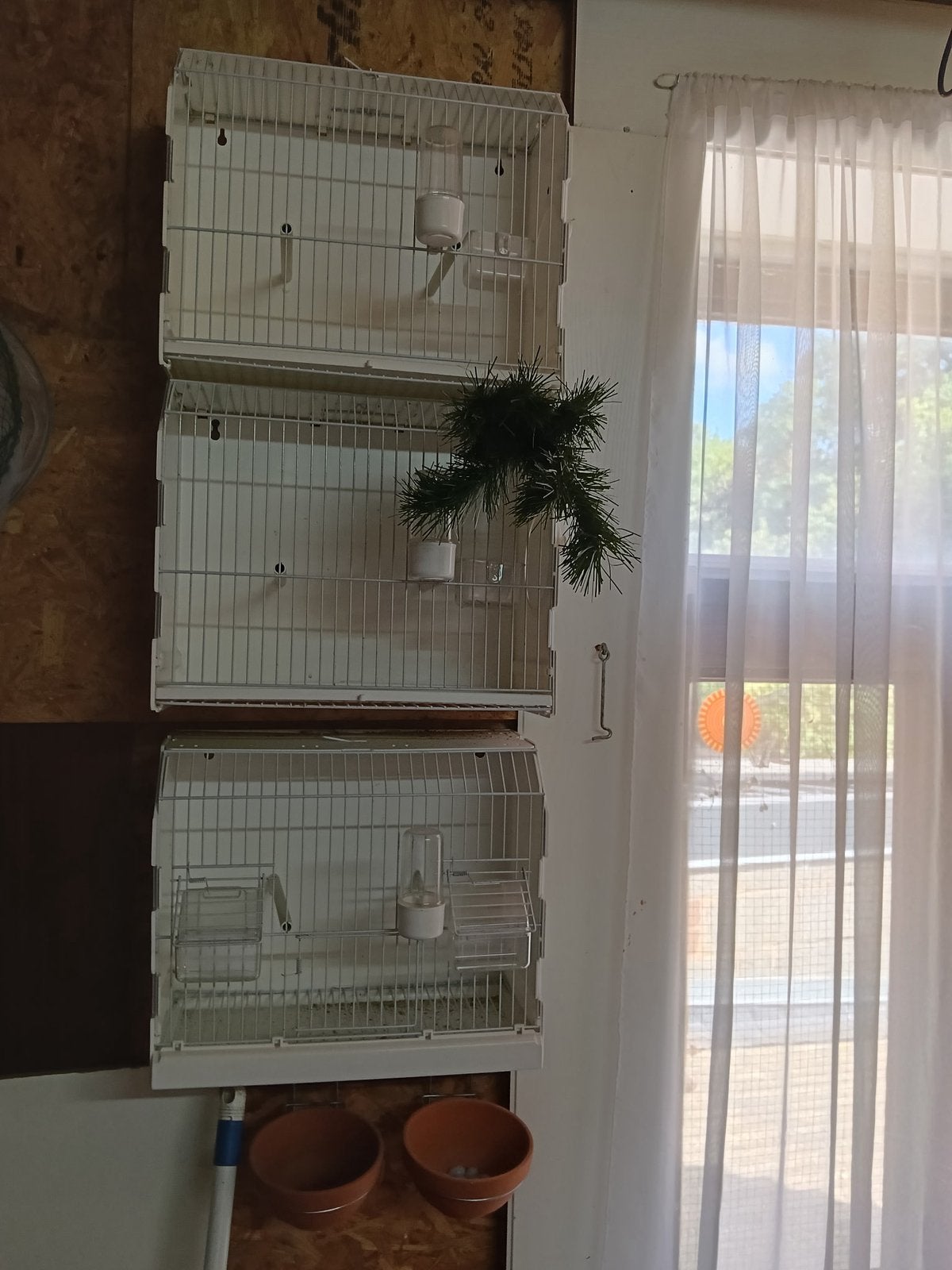 Cultivez des cages, des pinsons ou des canaris, Animaux & Accessoires, Oiseaux | Cages & Volières, Enlèvement, Comme neuf