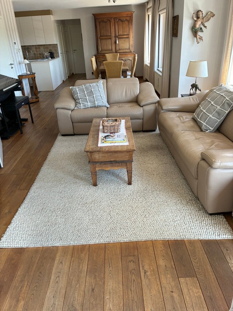 Tapijt 270 x 200 cm. Gratis af te halen, Maison & Meubles, Ameublement | Tapis & Moquettes, 200 cm ou plus, 200 cm ou plus, Enlèvement