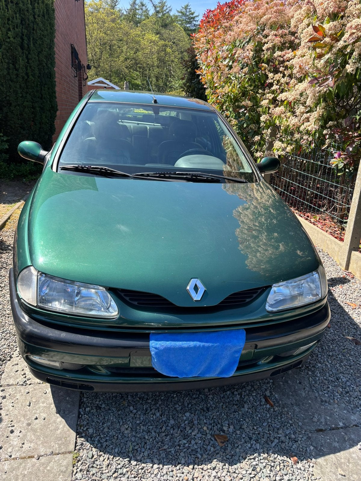 Laguna 3,0 V6 oldtimer 32jaar 188000, Laguna, Te koop, Particulier, Radio
