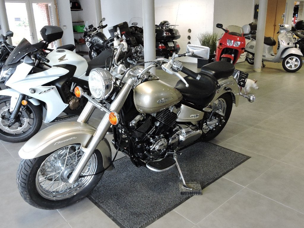 Yamaha Dragstar 650, Entreprise, Occasion, Chopper, 2 cylindres