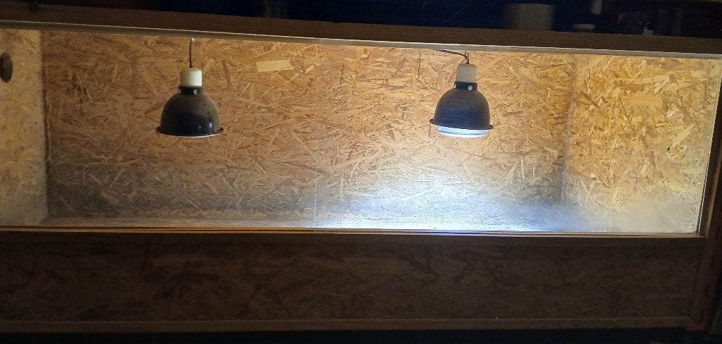 Terrarium en OSB (Namur), Animaux & Accessoires, Enlèvement