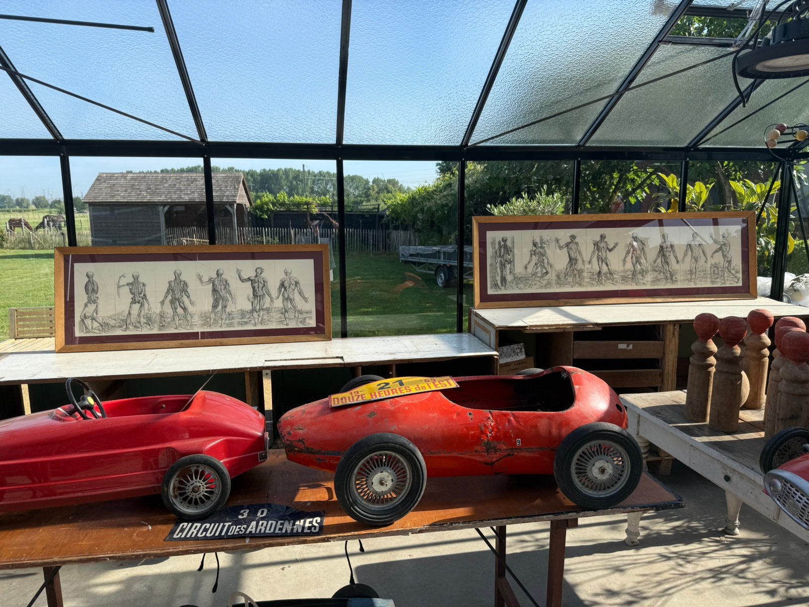 Œuvres anatomiques, deux pièces en chêne, verre, Enlèvement