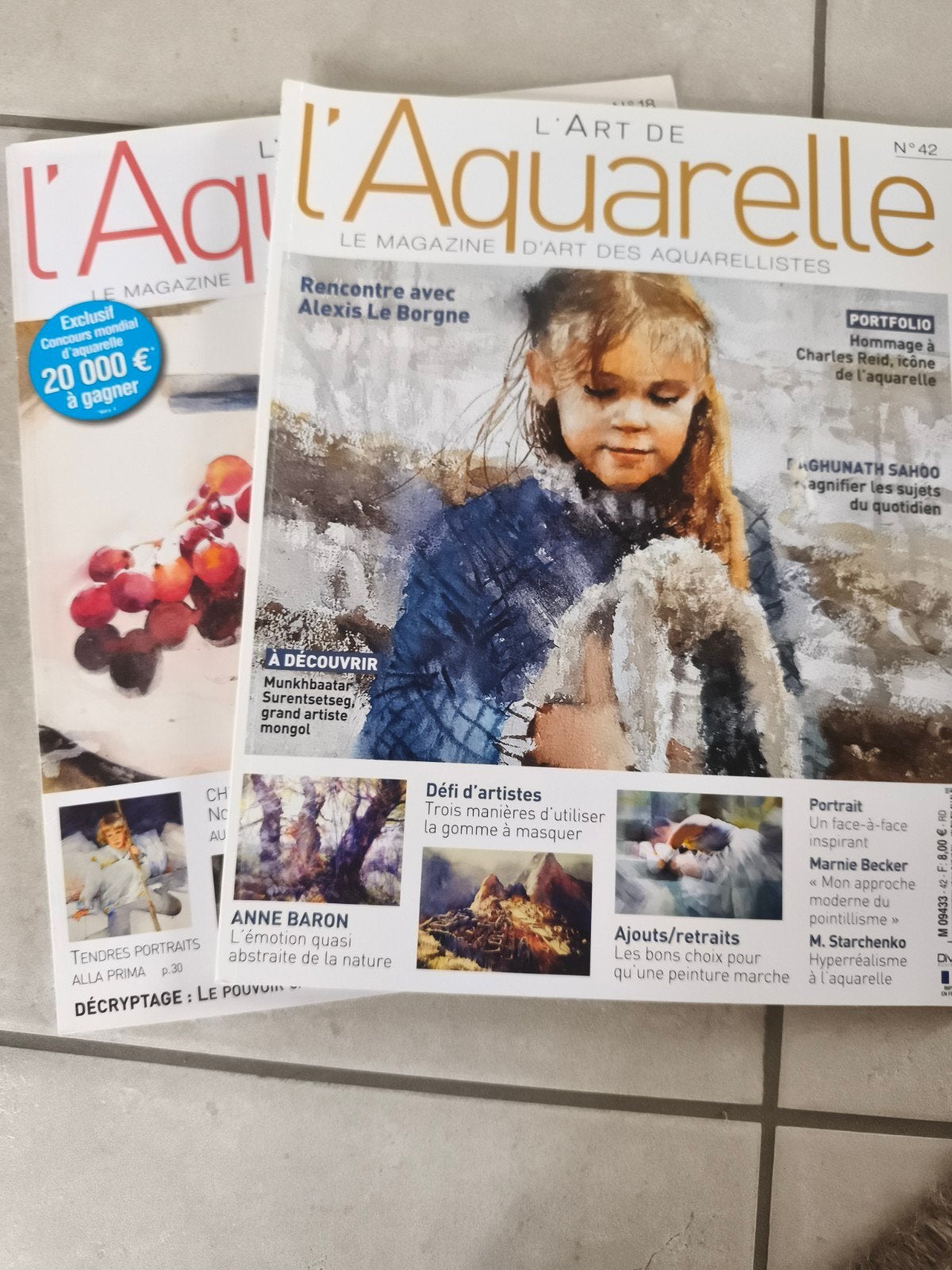 magazine l'art de l'aquarelle, Enlèvement, Comme neuf