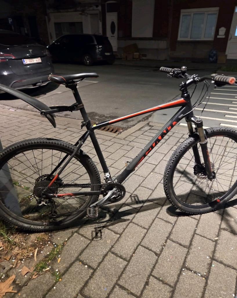 VTT Géant taille XL 29 pouces, Vélos & Vélomoteurs, Trek