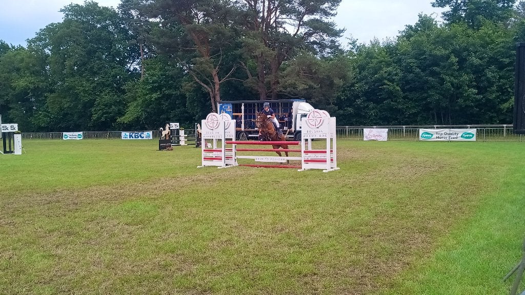 D springpony 7 jaar merrie, Dieren en Toebehoren, Pony's, Merrie, Met stamboom, Niet van toepassing, Springpony
