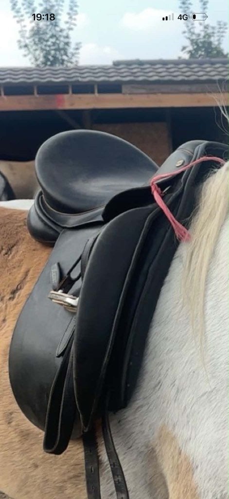 Selle, Animaux & Accessoires, Chevaux & Poneys | Selles, Taquets de genoux, S (16 ou 16.5 pouces), Moyen, Utilisé