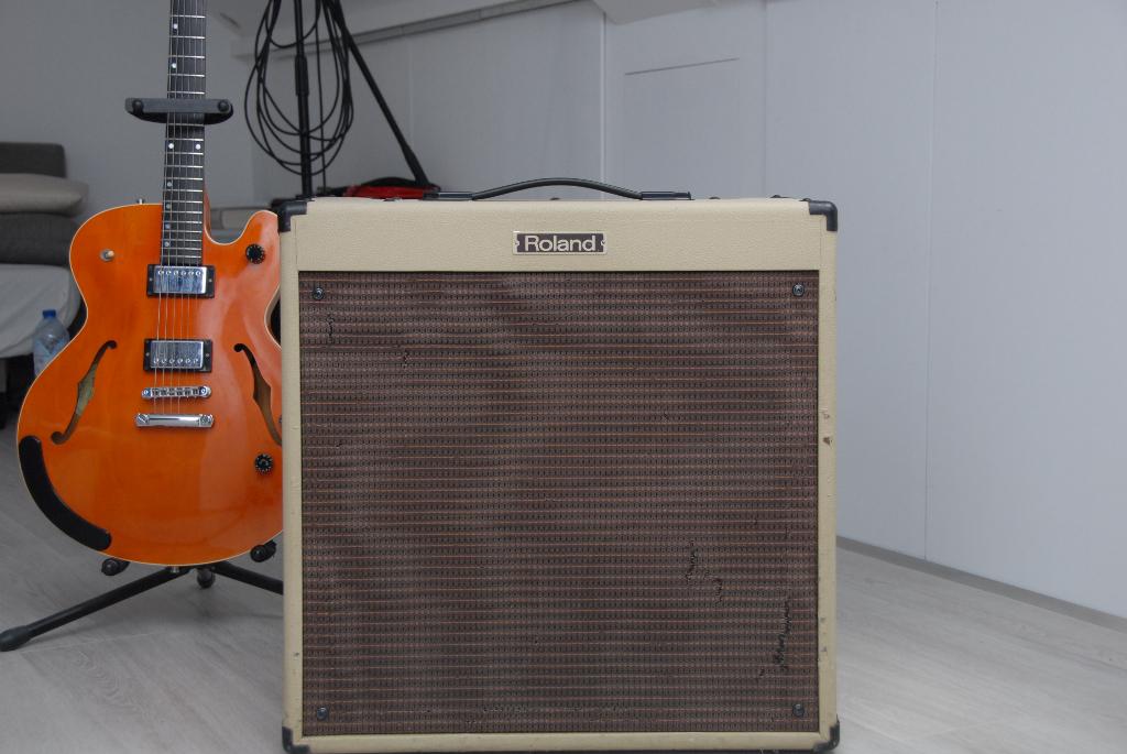 Roland Blues Cube BC60/310, Musique & Instruments, Amplis | Basse & Guitare, Enlèvement, Utilisé