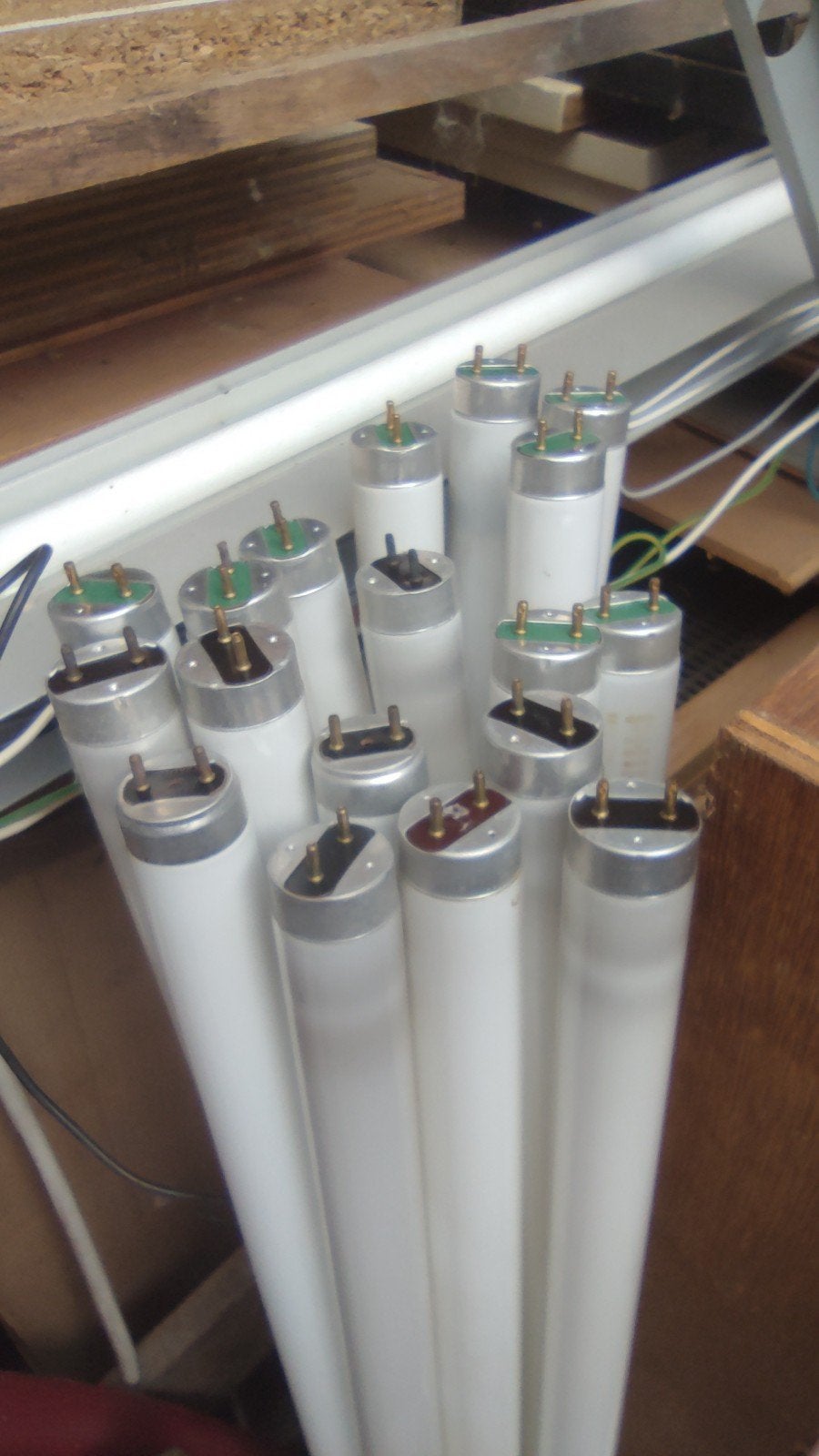 50+ TL T8 buizen, 1200mm, warm en koud mix, gebruikt, Gebruikt, Mix, TL-buis, .