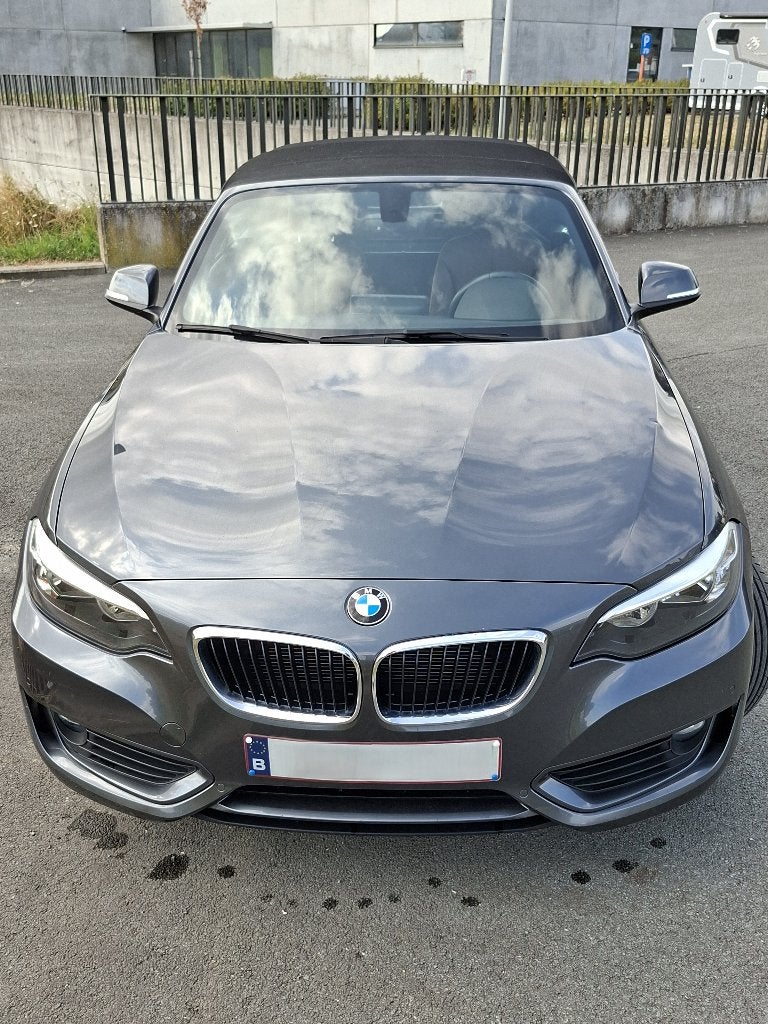 BMW 218I CABRIOLET 136CV 100 KW BJ 2016, Autos, BMW, Entreprise, Série 2, ABS, Airbags, Air conditionné, Alarme, Climatisation automatique