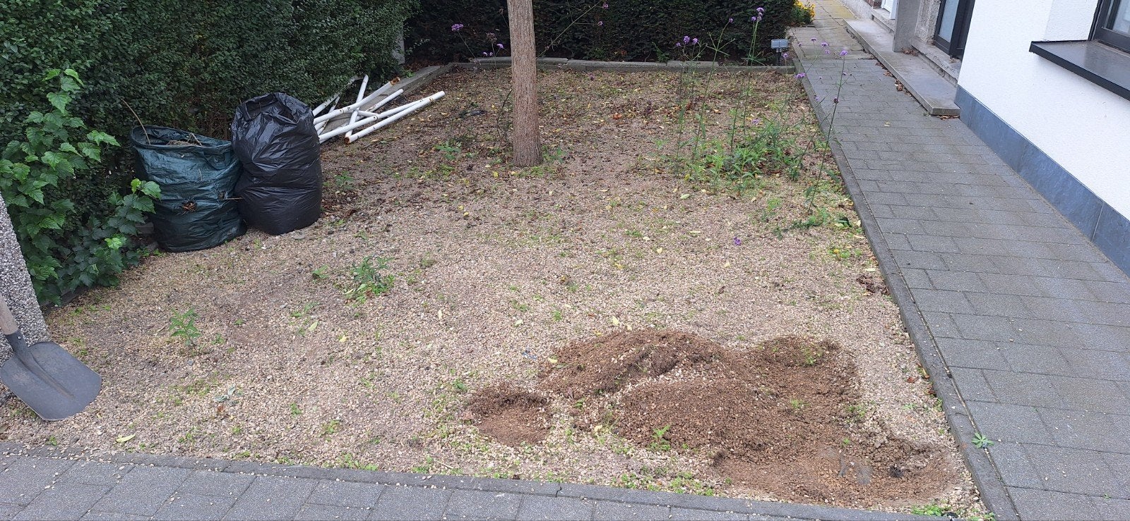 gele kiezel/grind gratis, Jardin & Terrasse, Enlèvement, Jaune, Gravier
