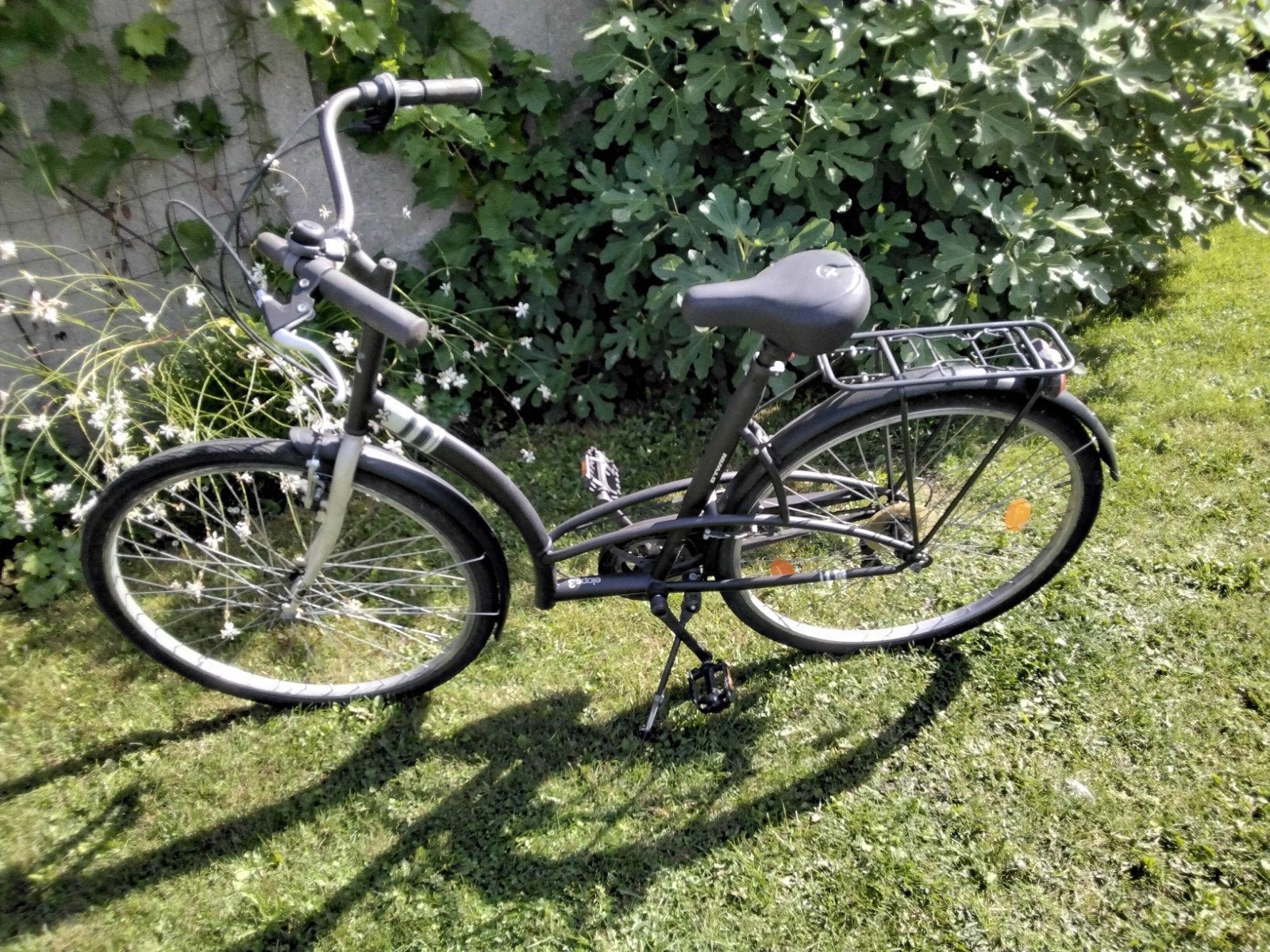 dames studente fiets, Enlèvement, Femmes