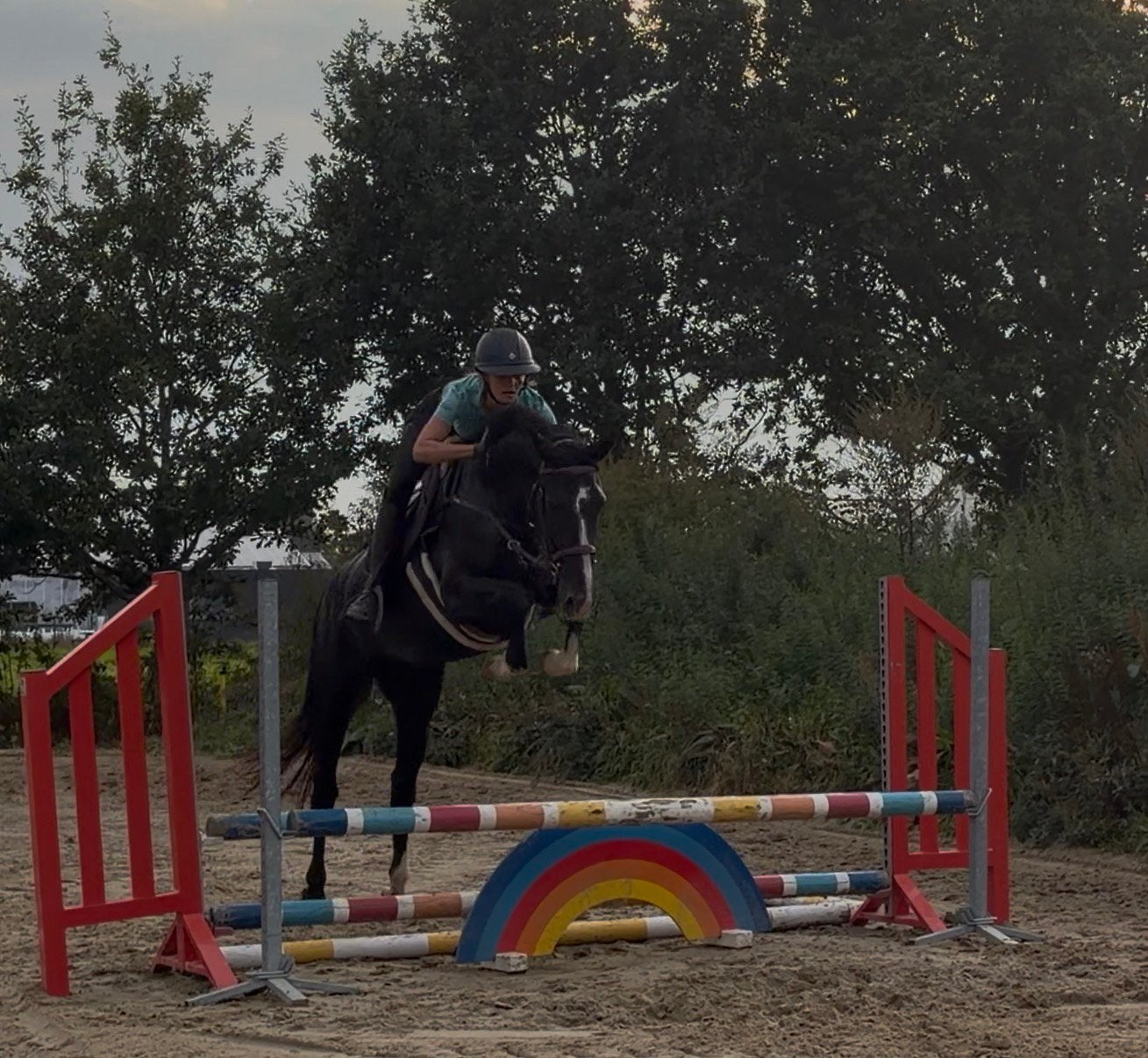 Fantastische springmerrie 4 jaar, Merrie, Springpaard, Met stamboom, Zadelmak