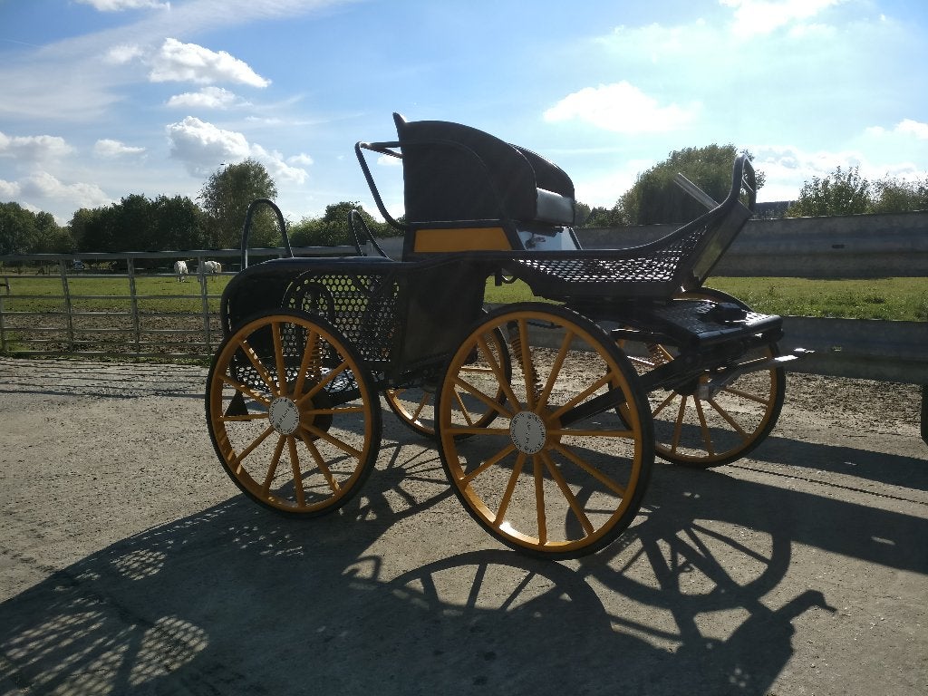 Marathon koets enkelspan De Laat, Dieren en Toebehoren, Gebruikt, Marathonwagen, Paard of Pony