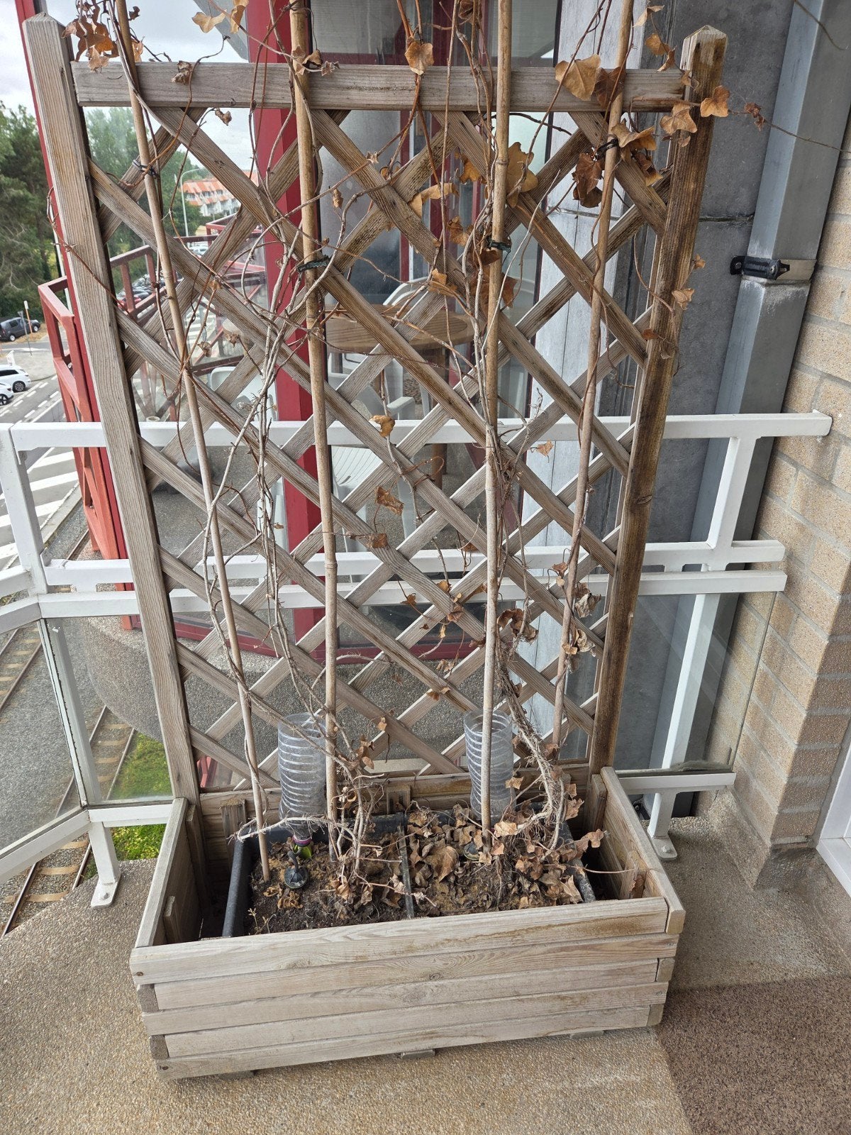 bak met klimrek planten, Jardin & Terrasse, Bacs à fleurs & Jardinières, Enlèvement, Utilisé, Bois