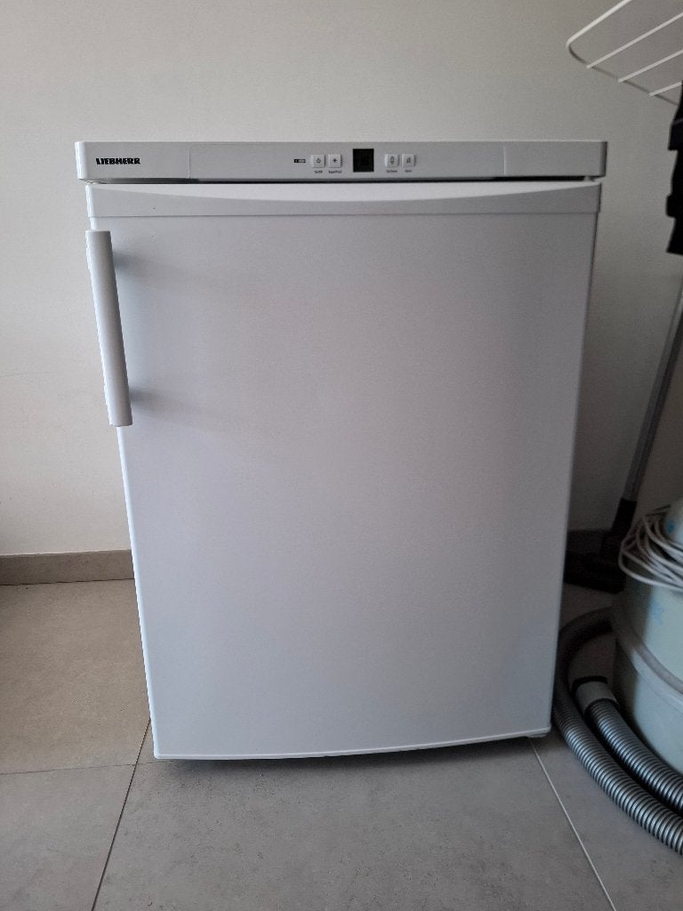 Vriezer Liebherr GP1486-20J, Elektronische apparatuur, Vriezers en Diepvrieskisten, Gebruikt, Ophalen, Vrieskast, 85 tot 120 cm