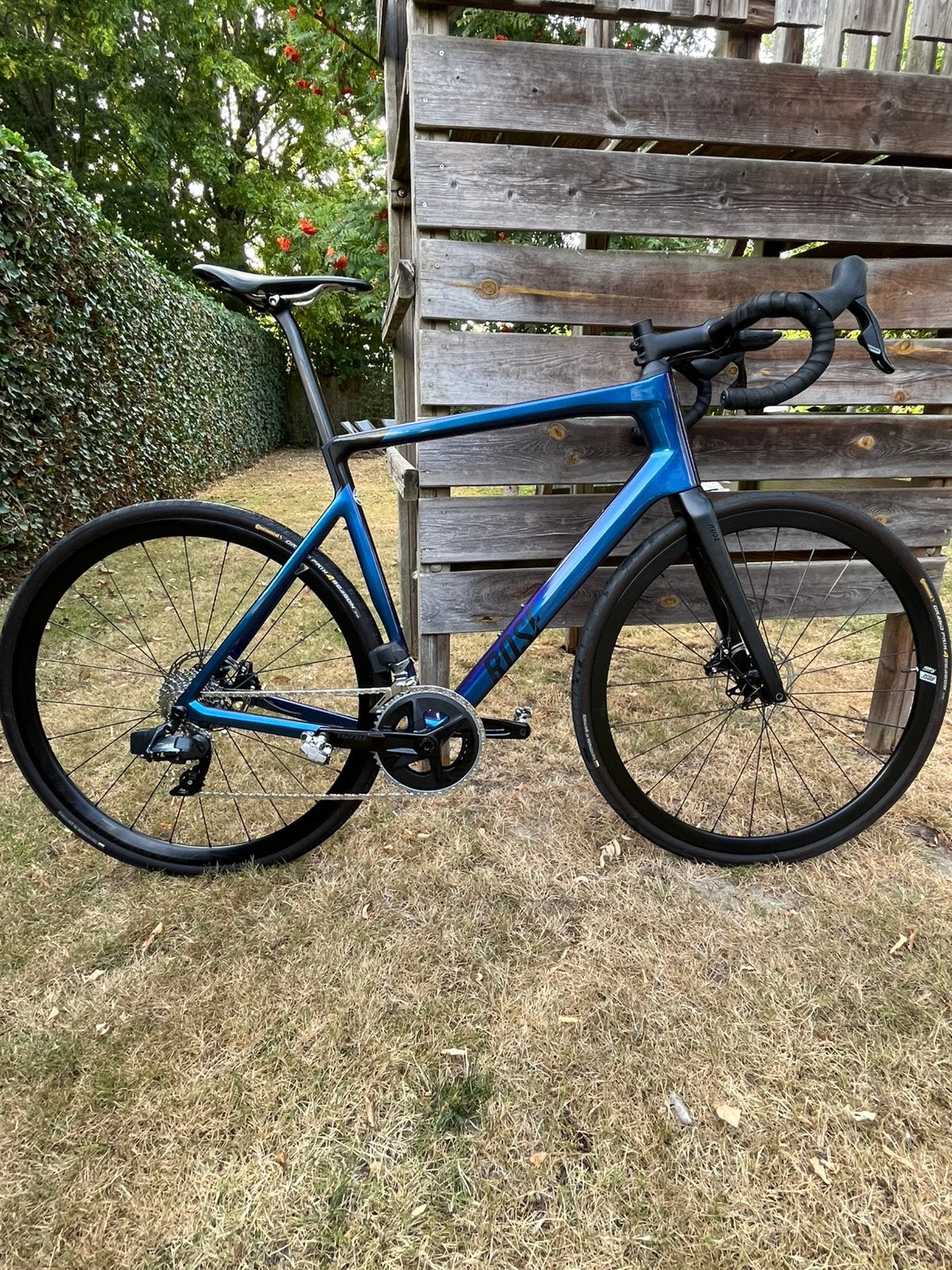 carbon rose reveal four 58 sram axs + gratis klikschoenen, Fietsen en Brommers, Ophalen, Zo goed als nieuw, 57 tot 61 cm, Meer dan 20 versnellingen