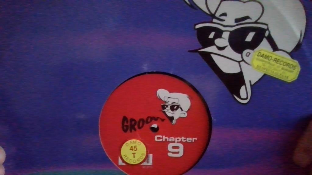 CHAPTER 9 " SWINDLE " ( GROOVY REC. ), Ophalen of Verzenden, Zo goed als nieuw, 12 inch, Techno of Trance