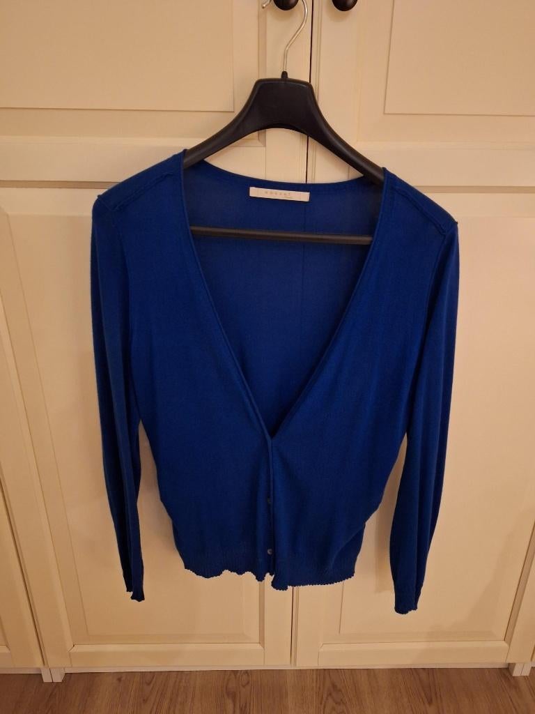 Nieuwe heel mooie dames gilet, Nougat, mooi blauw, Kleding | Dames, Blauw, Maat 42/44 (L), Nieuw, Ophalen of Verzenden