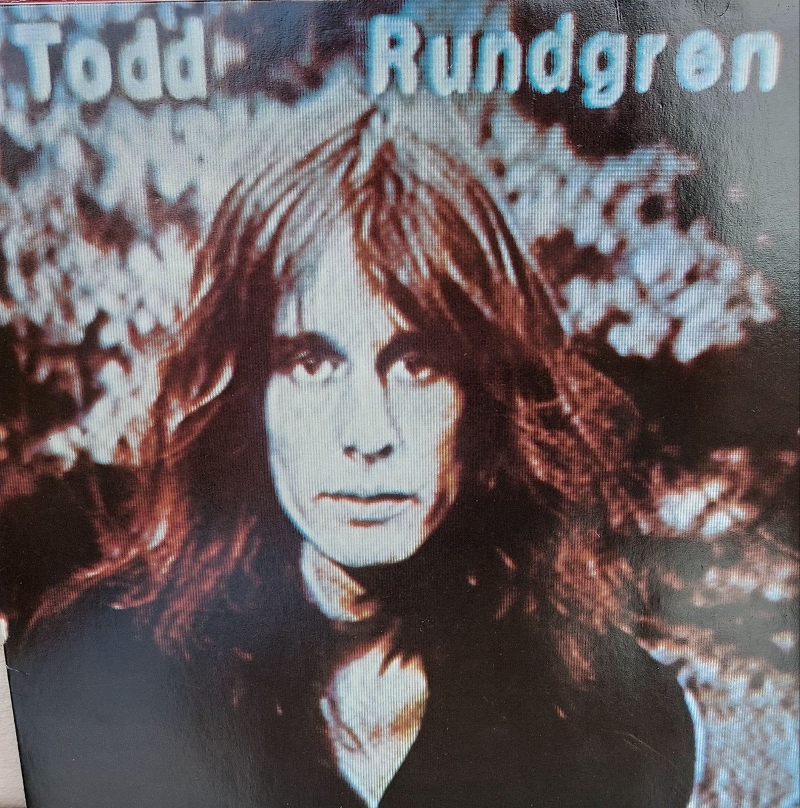 TODD RUNDGREN : HERMIT OF MINK HOLLOW, Ophalen of Verzenden