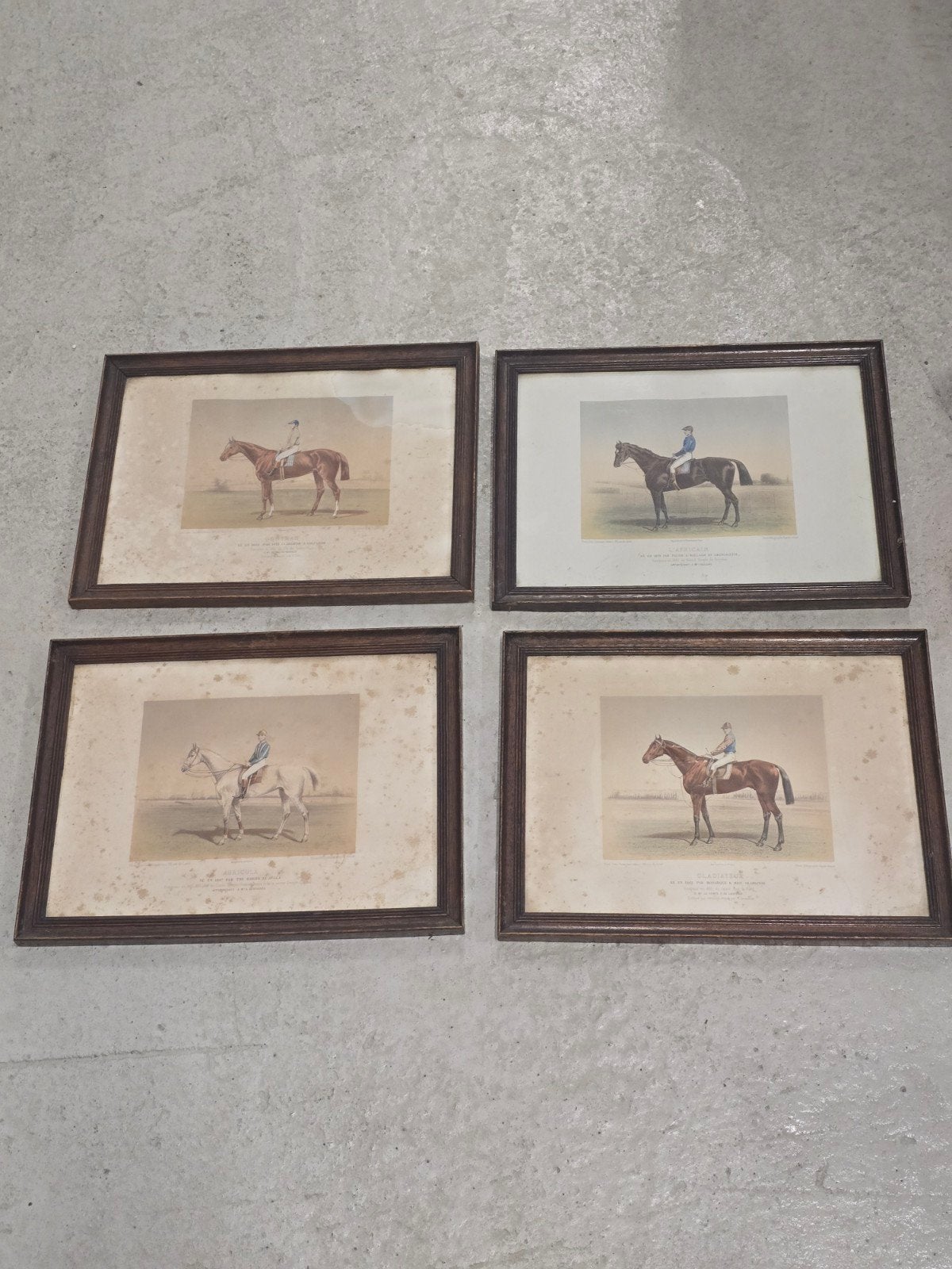antieke lithos bekende renpaarden, Ophalen, Portret, Lithografie, 1900 - 1949