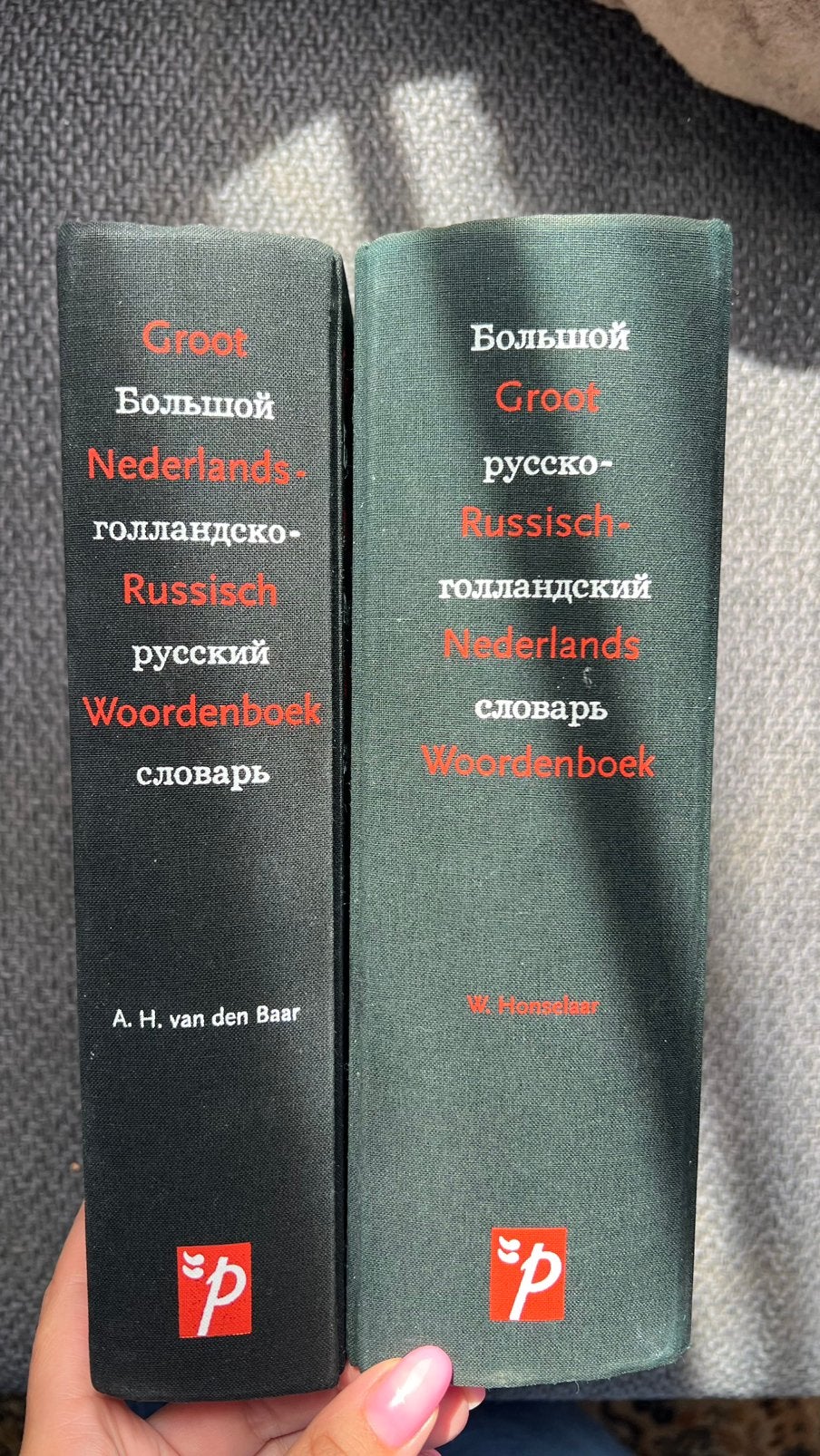 Groot Nederlands-Russisch / Russisch-Nederlands woordenboek, Boeken, Ophalen of Verzenden, Zo goed als nieuw, Nederlands