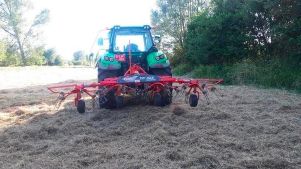 Grasland gezocht, Enlèvement