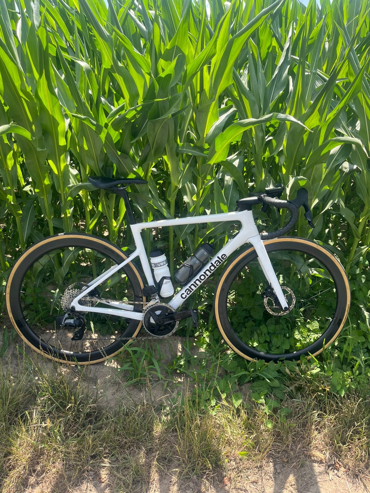 Cannondale SuperSix EVO|SRAM Rival AXS|DT Swiss 350|Maat 51, Ophalen, Zo goed als nieuw, Carbon