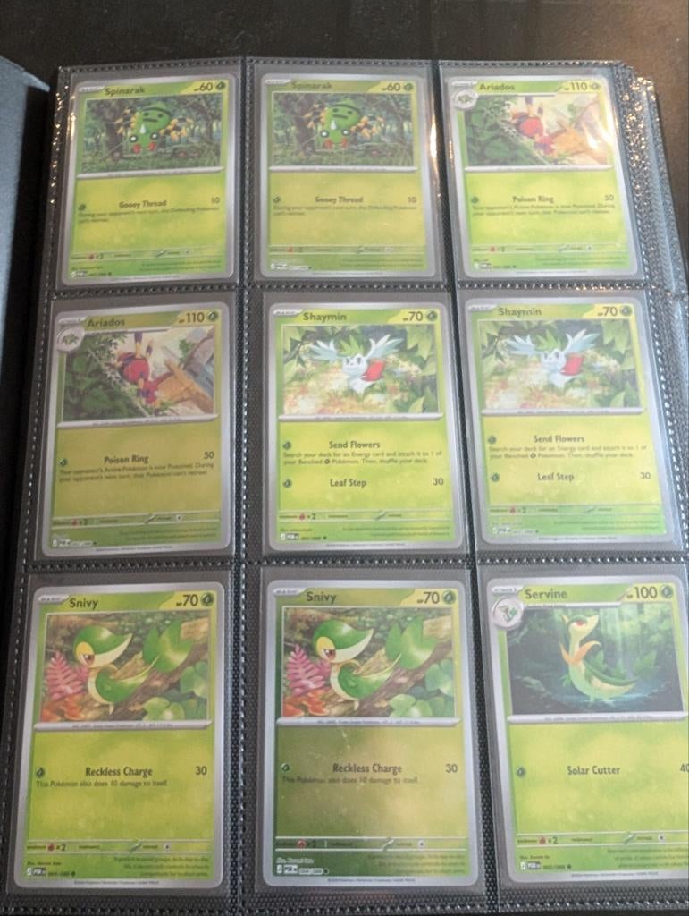 Basis set PERFECT ORDER, Enlèvement, Neuf, Plusieurs cartes, Foil
