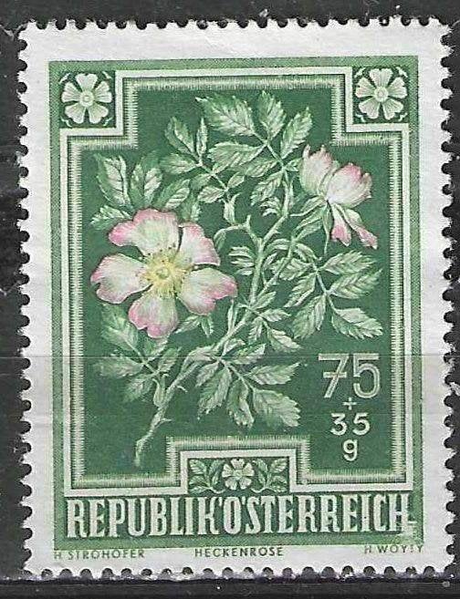 Oostenrijk 1948 - Yvert 728 - Eglantier (ZG), Postzegels en Munten, Verzenden, Postfris