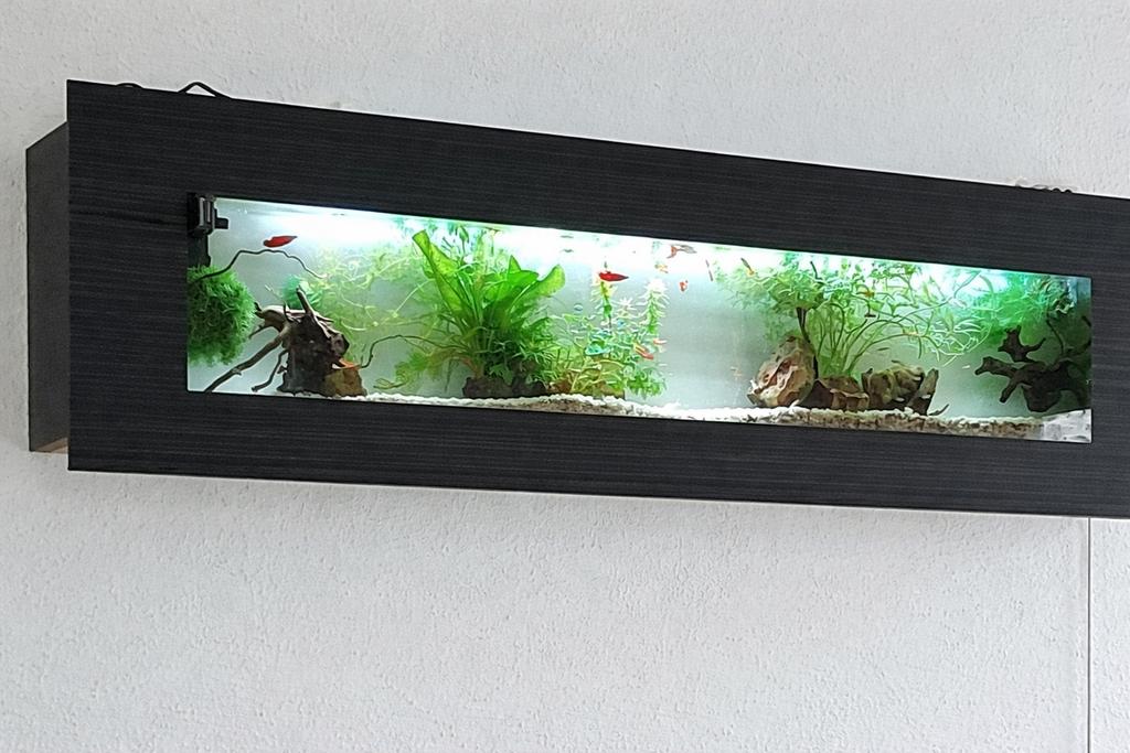 Aquarium mural panoramique, Animaux & Accessoires, Poissons | Aquariums & Accessoires, Utilisé, Aquarium vide, Enlèvement