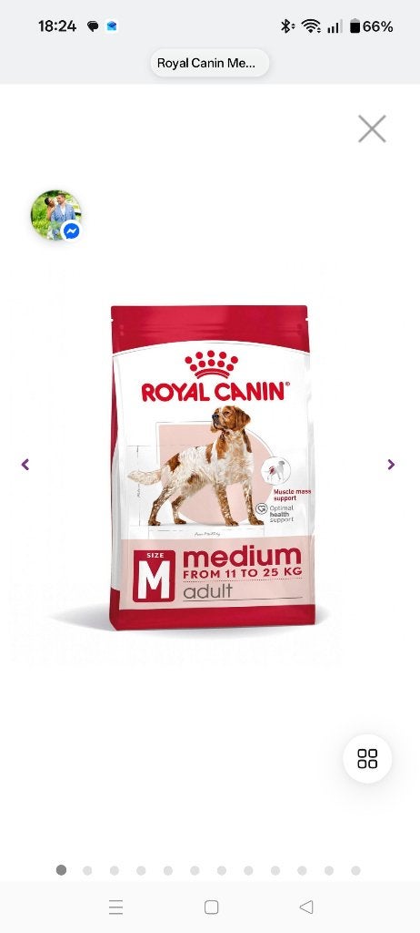 Royal Canin medium adult hondenbrokken 15kg, Ophalen, Hond