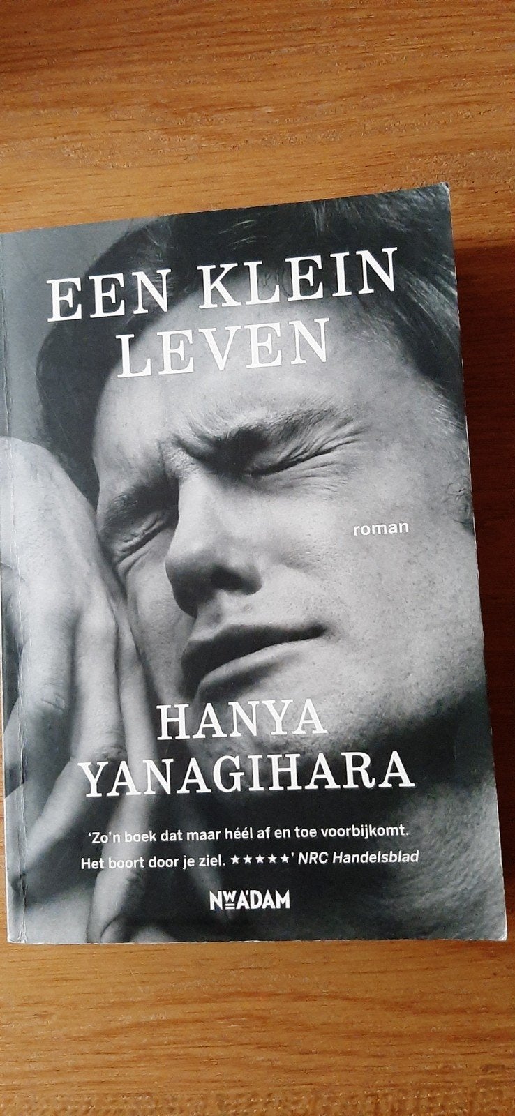 Een klein leven - Hanya Yanagihara, Boeken, Ophalen