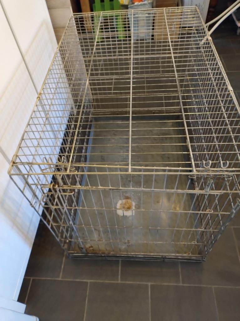 Grote bench, Dieren en Toebehoren, Hondenhokken, Ophalen, Gebruikt