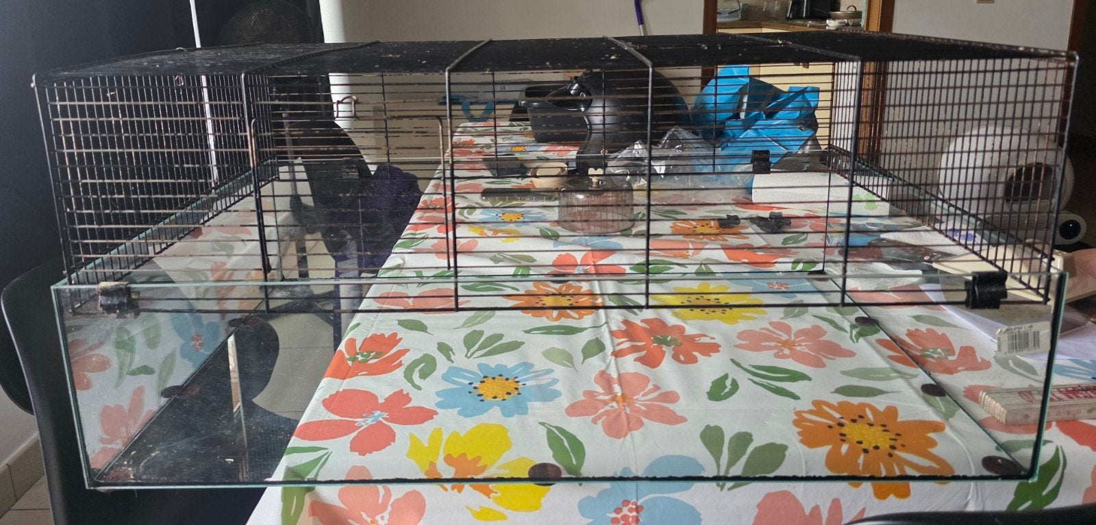 Dierenkooien - 2 Stuks, Dieren en Toebehoren, Ophalen, Gebruikt, Kooi, Cavia