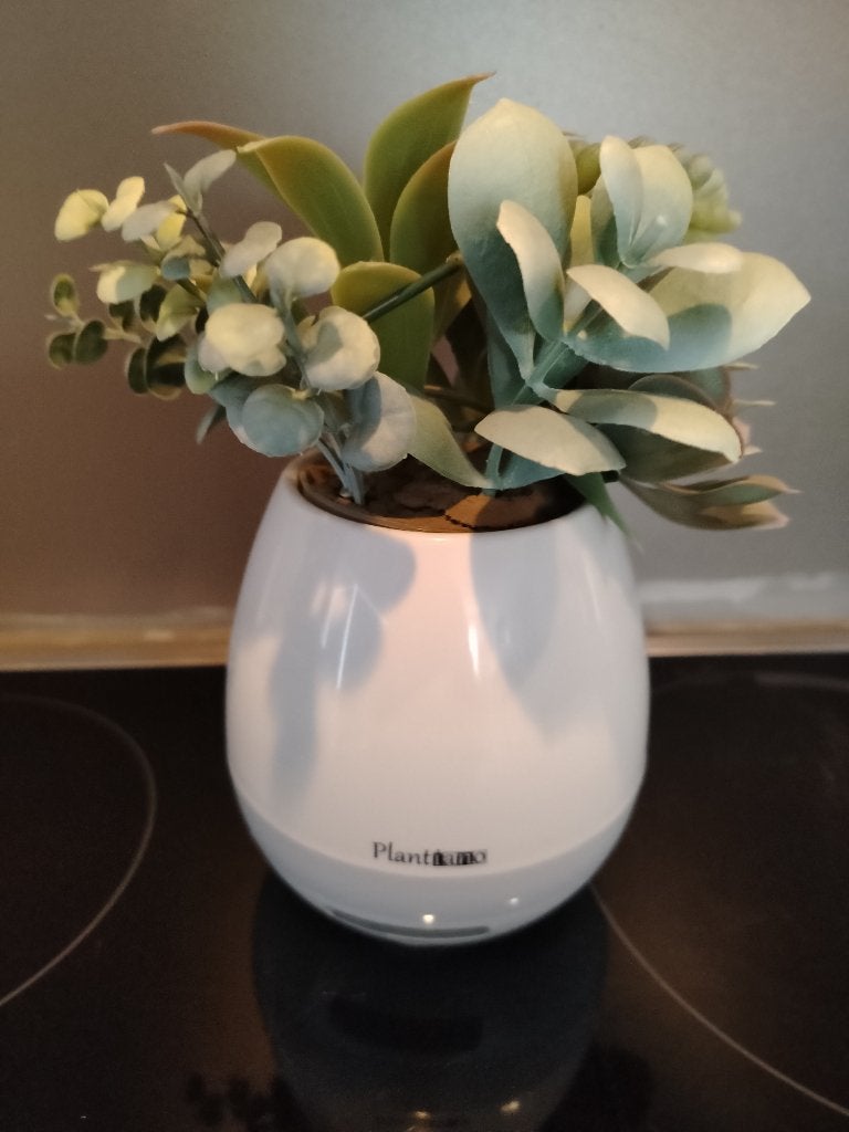 Pot fleur connecté (enceinte son), TV, Hi-fi & Vidéo, Enceintes, Neuf, Bluetooth, Enlèvement, Enceinte d'étagère