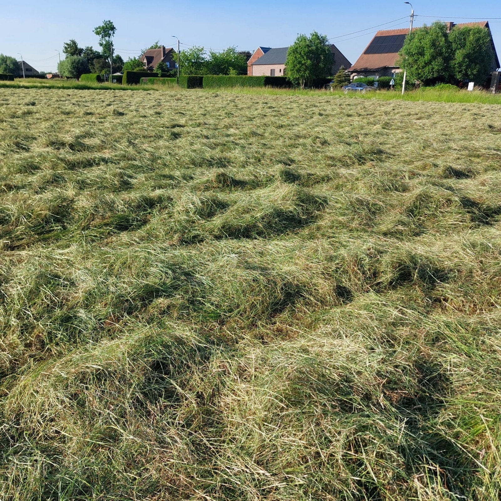 Hooi te koop, Ophalen