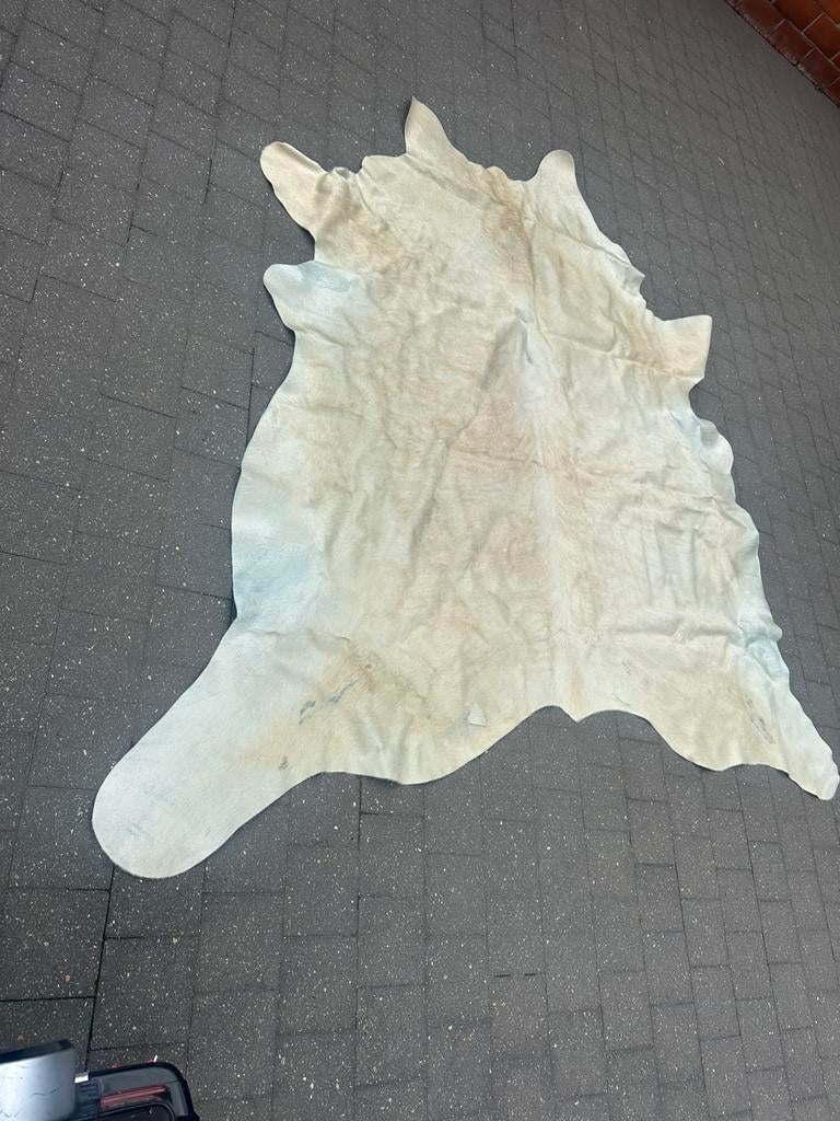 Vloerkleed van koeienhuid, Ophalen, Gebruikt